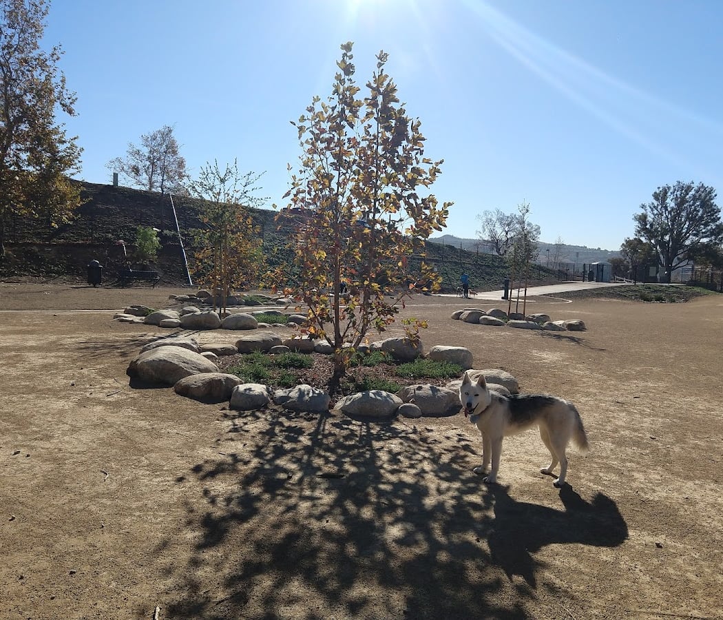 Checkers Dog Park 2