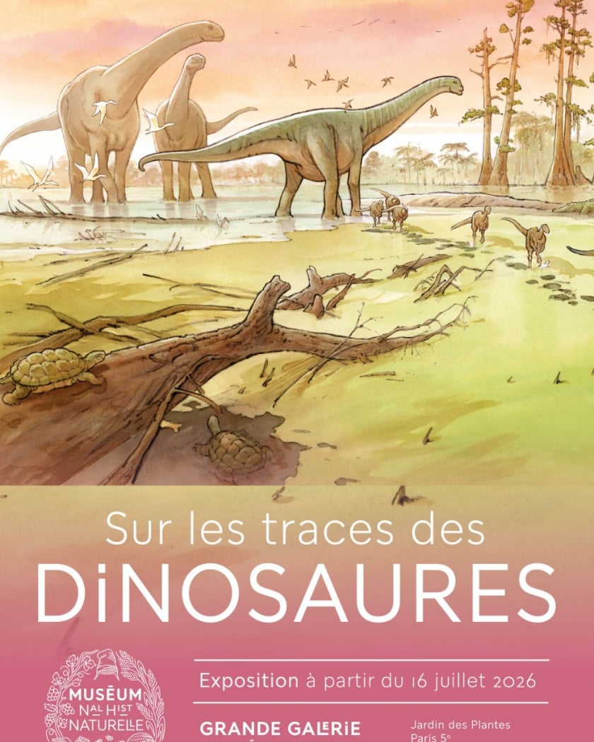 Sur les traces des dinosaures 1