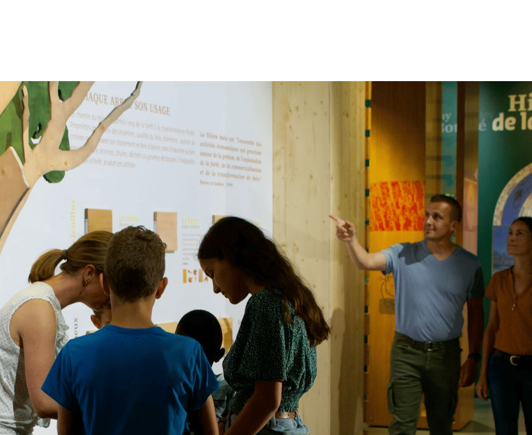 Stage Nature de 3 Jours "La Disparition du Dr Cambium" 2