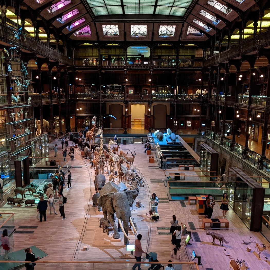 Grande Galerie de l'Évolution 3