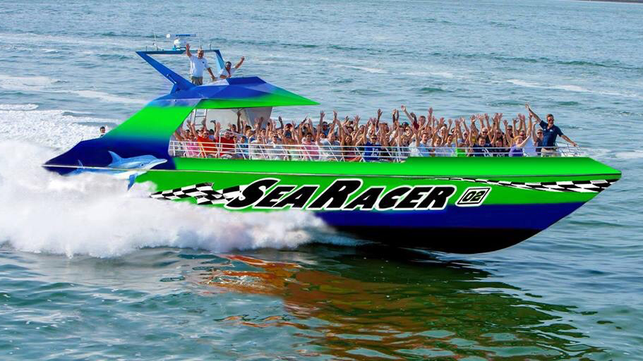 Sea Racer Dolphin Tours 1