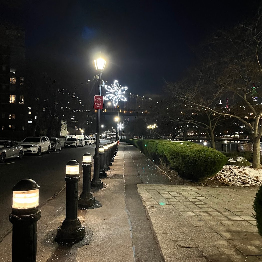 Roosevelt Island Tree Lighting Ceremony 3