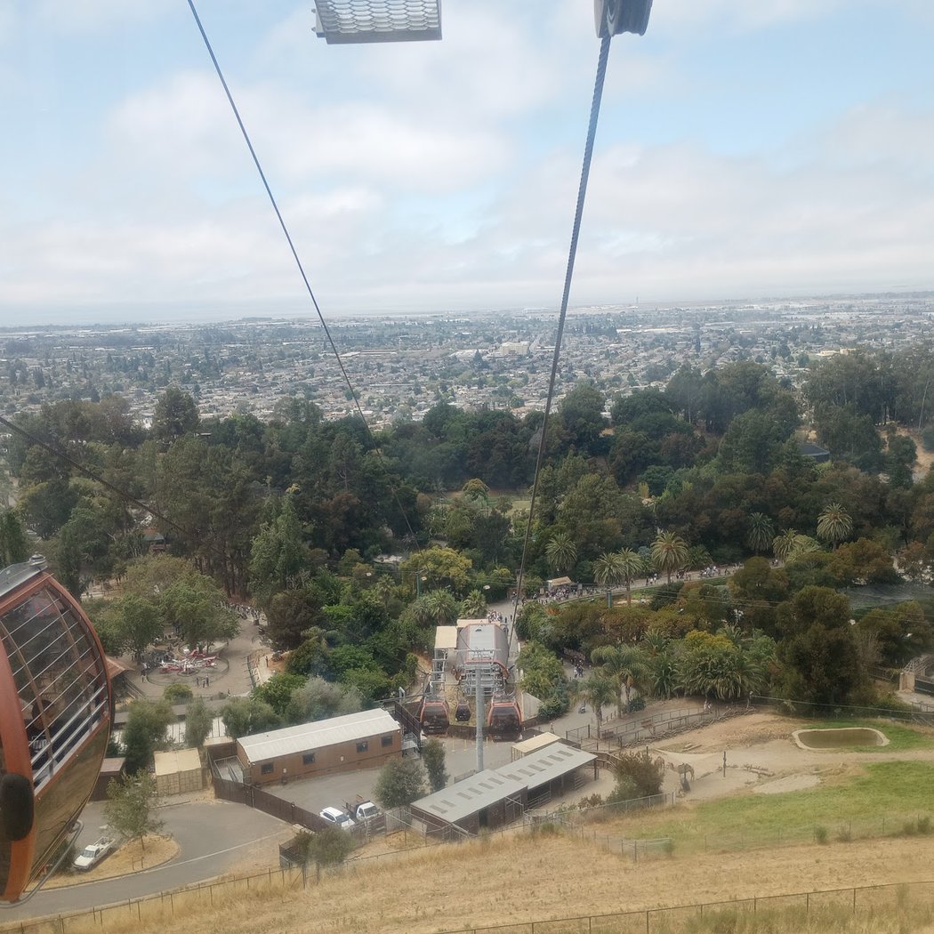 Oakland Zoo Rides 1