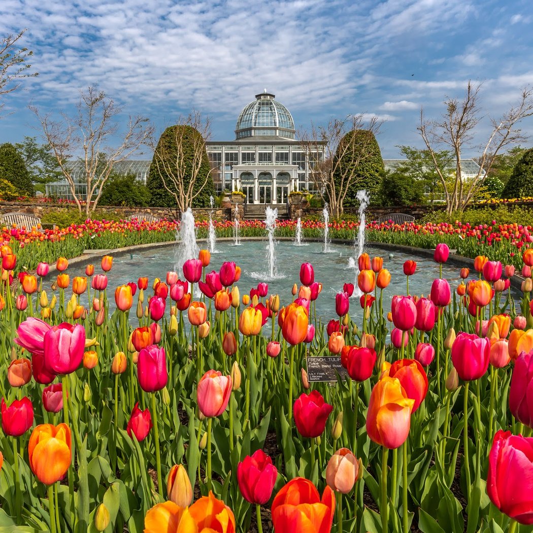 Lewis Ginter Botanical Garden 1
