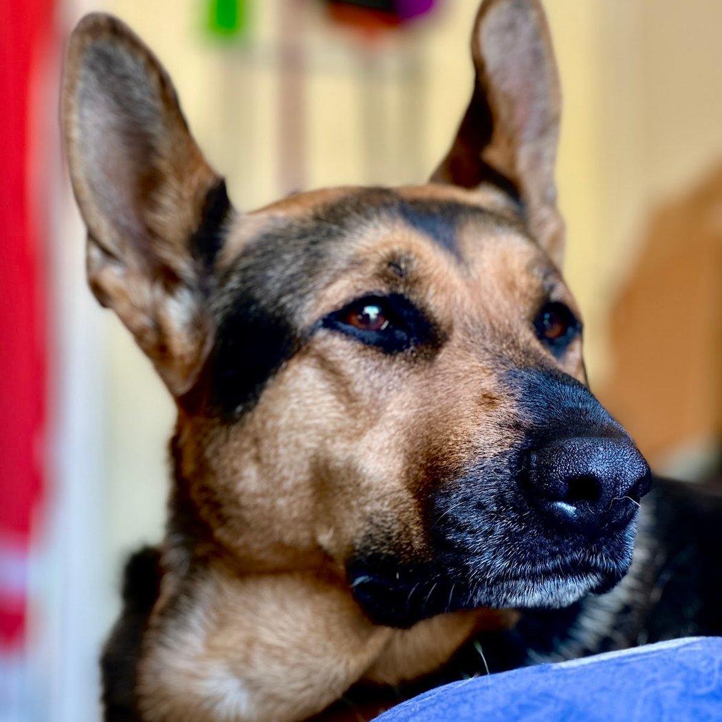 Meet Zeus at FAAS 1