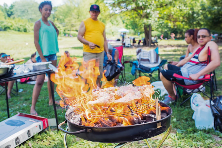 Bronx Neighborhood Group Labor Day Roots Picnic