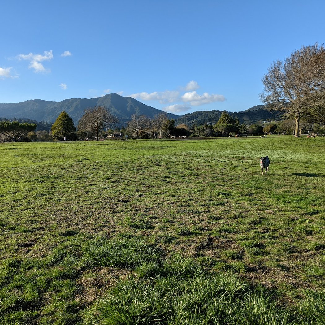 Dog Park | Bayfront Park Mill Valley 2