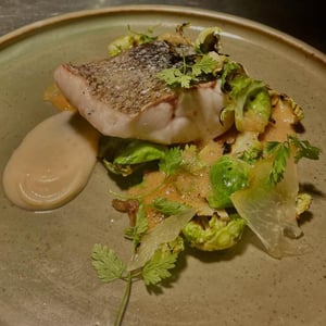 Oyster Club 1