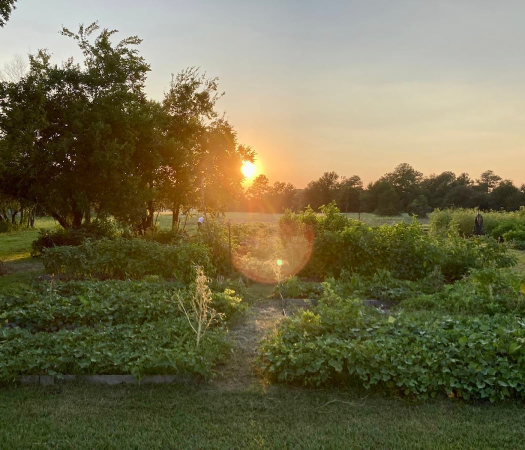 Community Farm Work Session 2