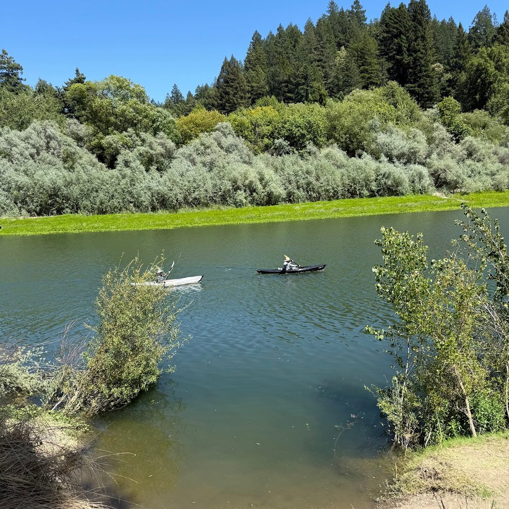Sonoma County Summer Beer Festivals 3