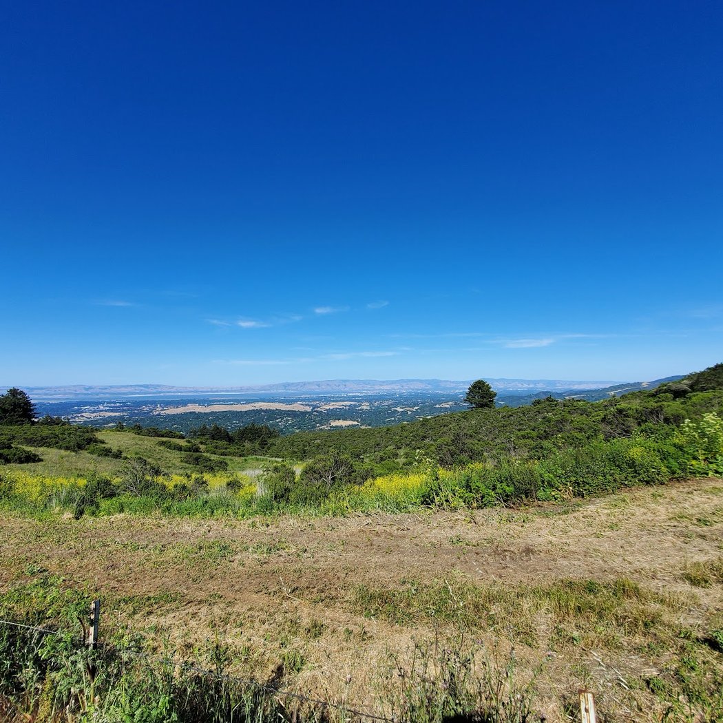 Windy Hill 3