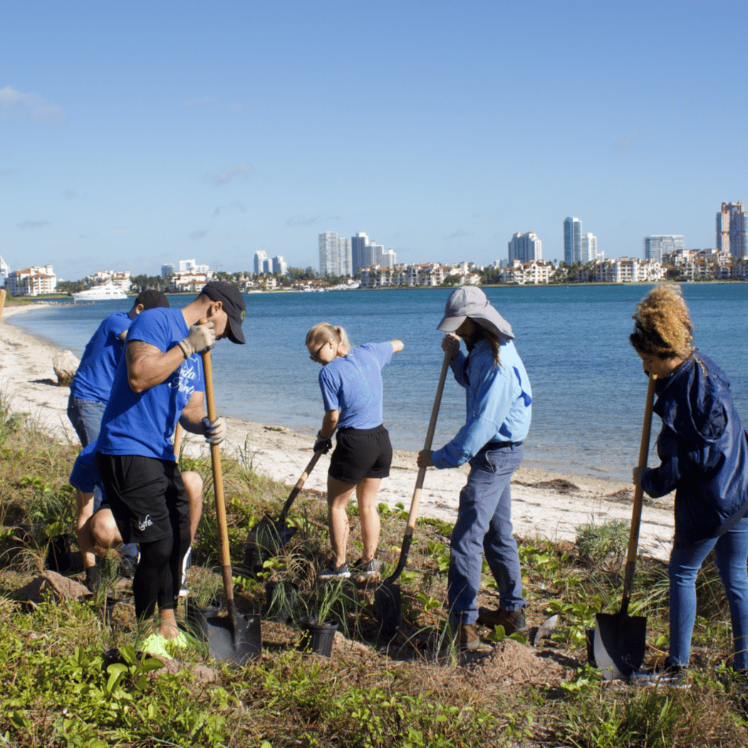 Community Planting Day at Haulover Park 4