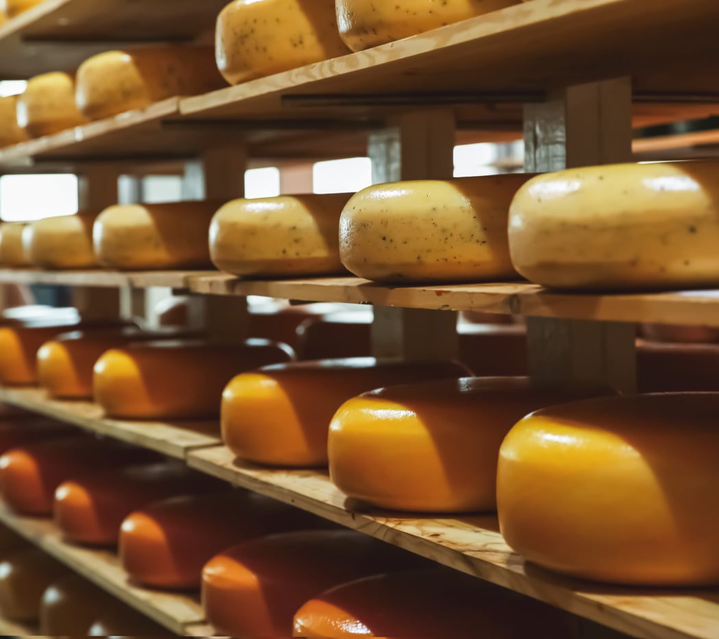 Joe Matos Cheese Factory 1
