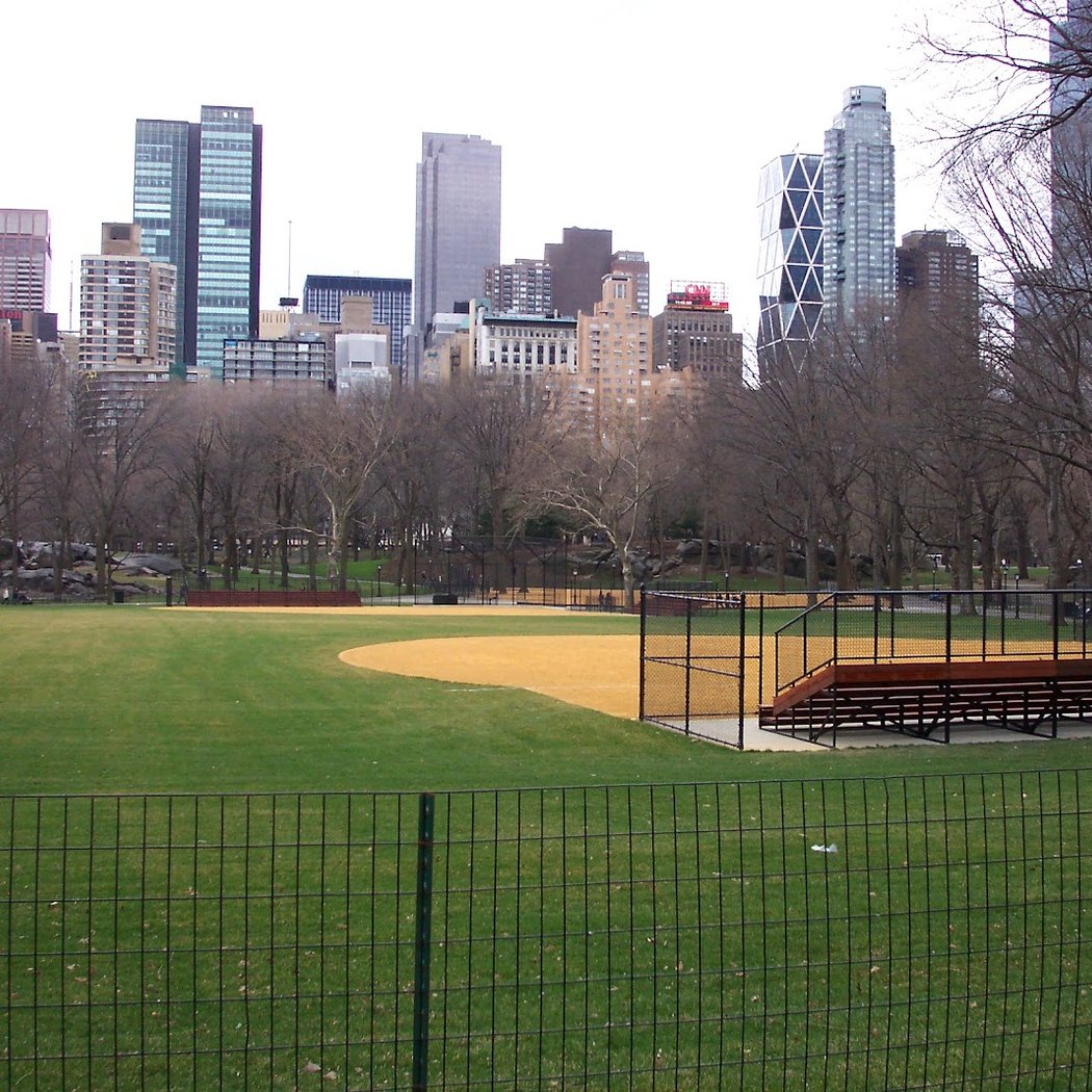 Field 4 3