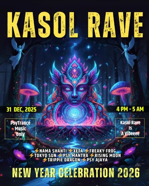 Kasol Rave New Year Celebration 1