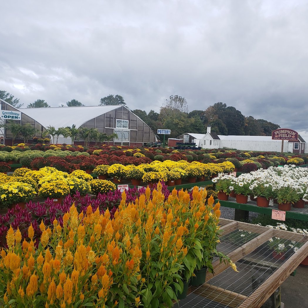 Gabrielsen's Country Plant Farm 2