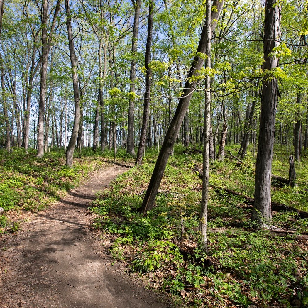 Leslie Science & Nature Center 1
