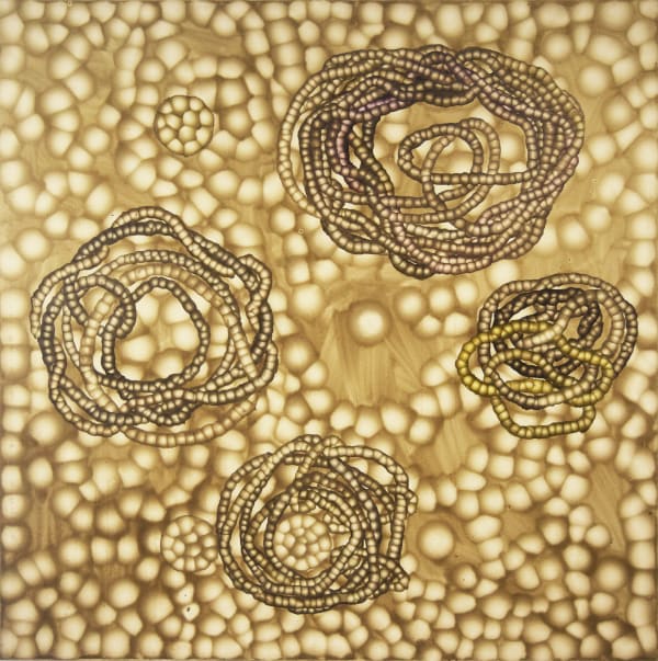 Ross Bleckner: Consciousness More Than Anything 1