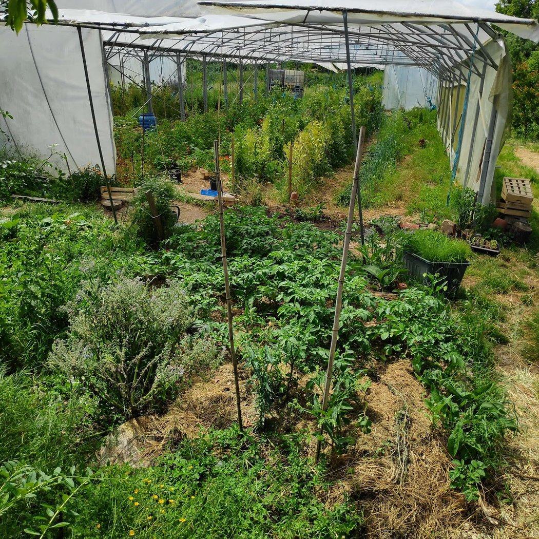 Légumes de la Fernière 3