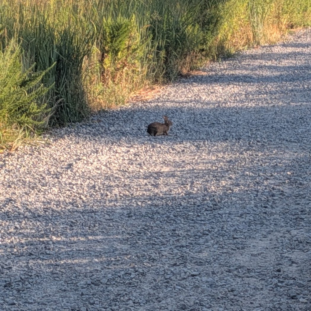 Shore Parkway Bike Path 2