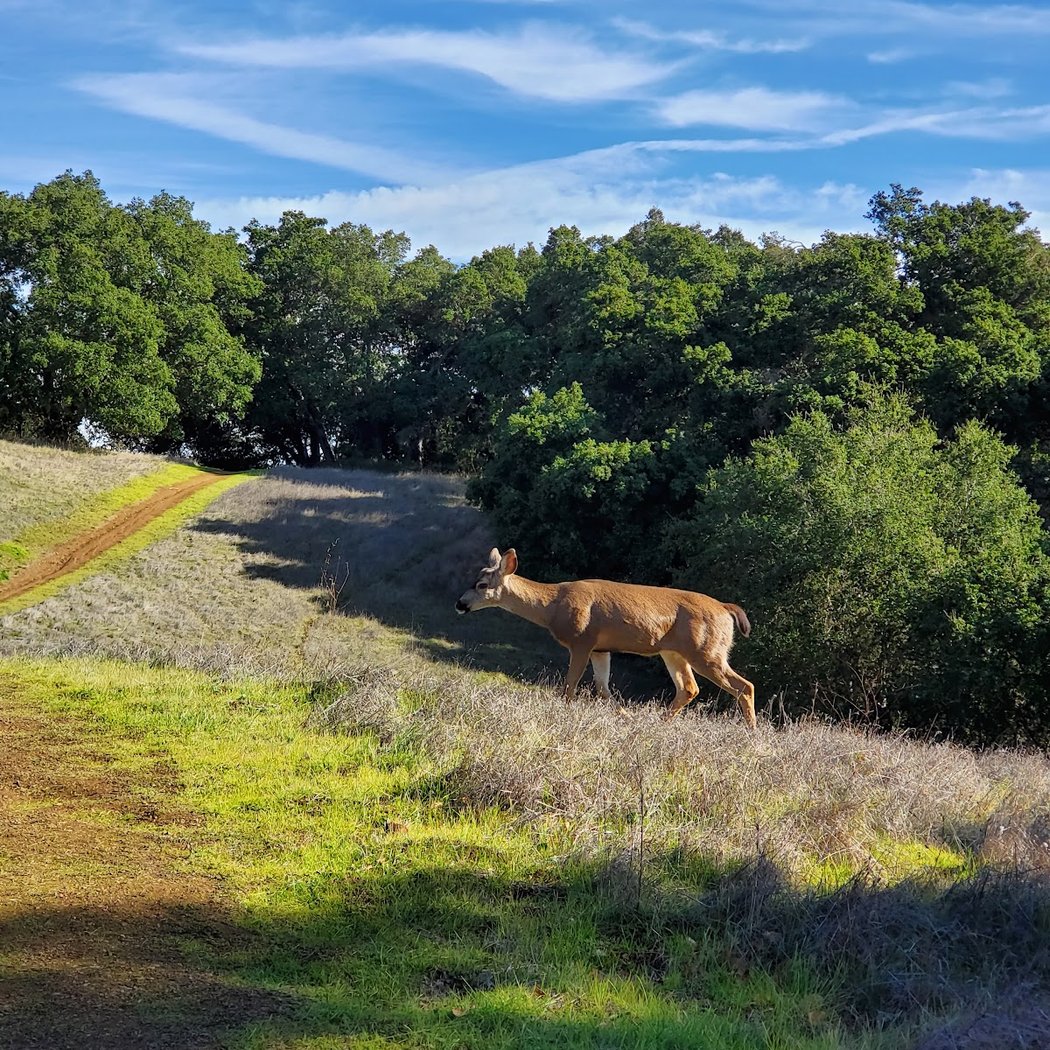 Rhus Ridge Trailhead 1