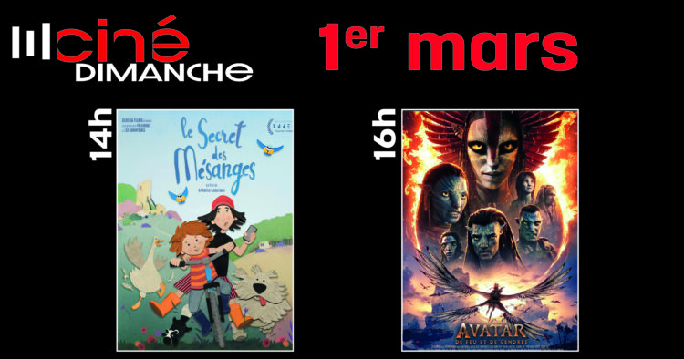 CINE-DIMANCHE: 3 FILMS POUR TOUS LES GOÛTS 1