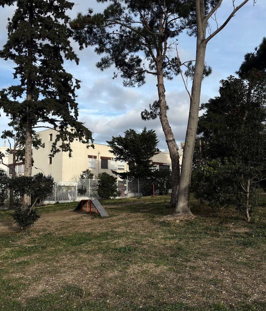 Jardin Achdjian Parc à chien 3