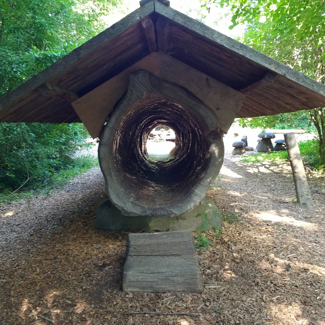 Walderlebniszentrum Grünwald 2