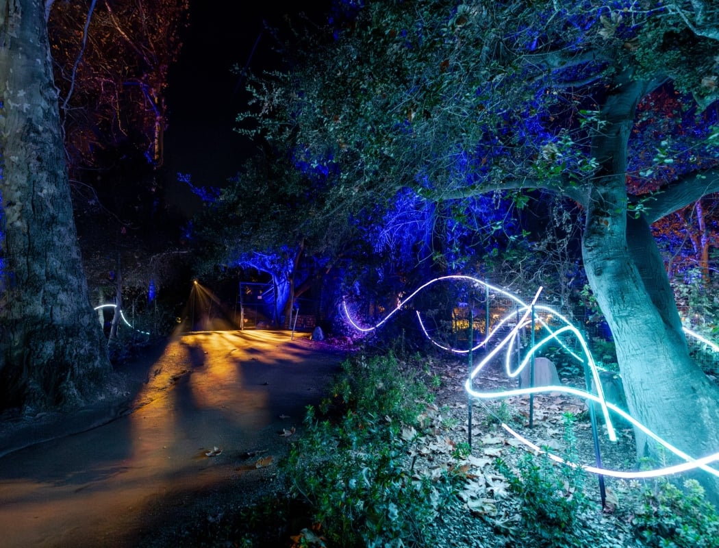 Enlighten 1