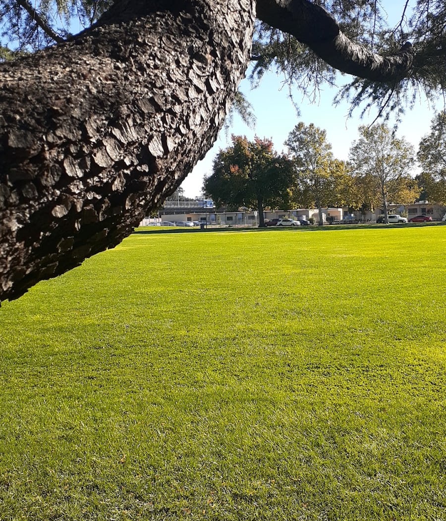 Padan Park 2