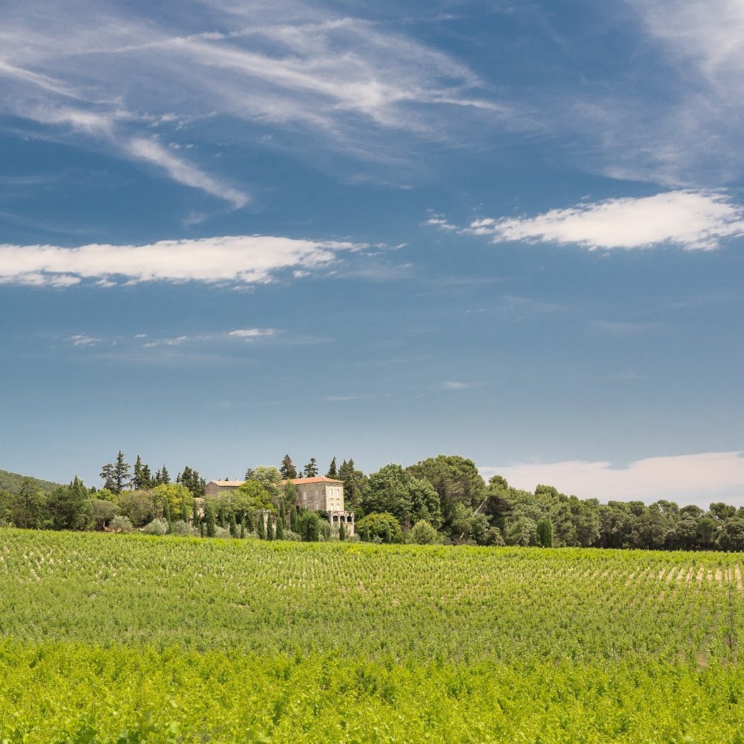 Château de Rouanne 2
