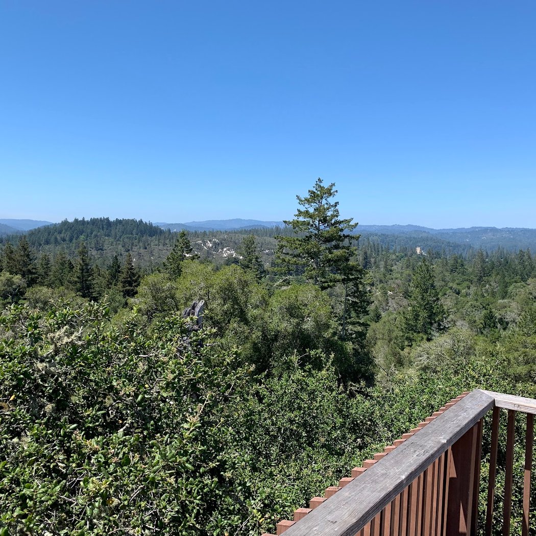 Observation Deck 3