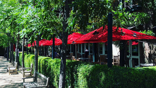 Pizzeria Tra Vigne 3