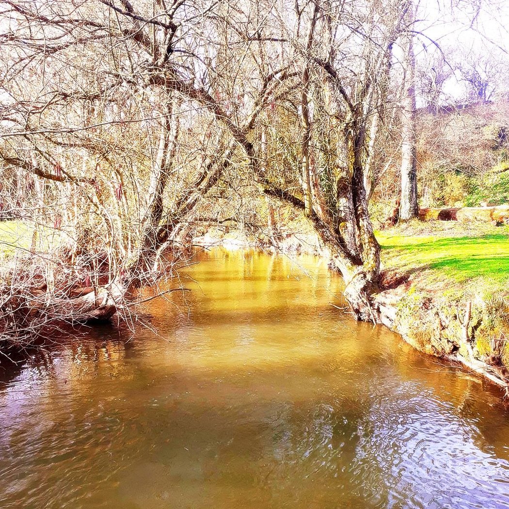 Swin golf de rougé 4