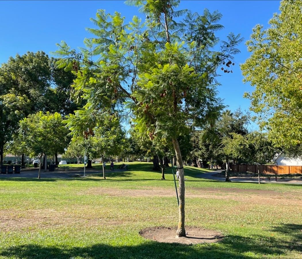 Murphy Park 3