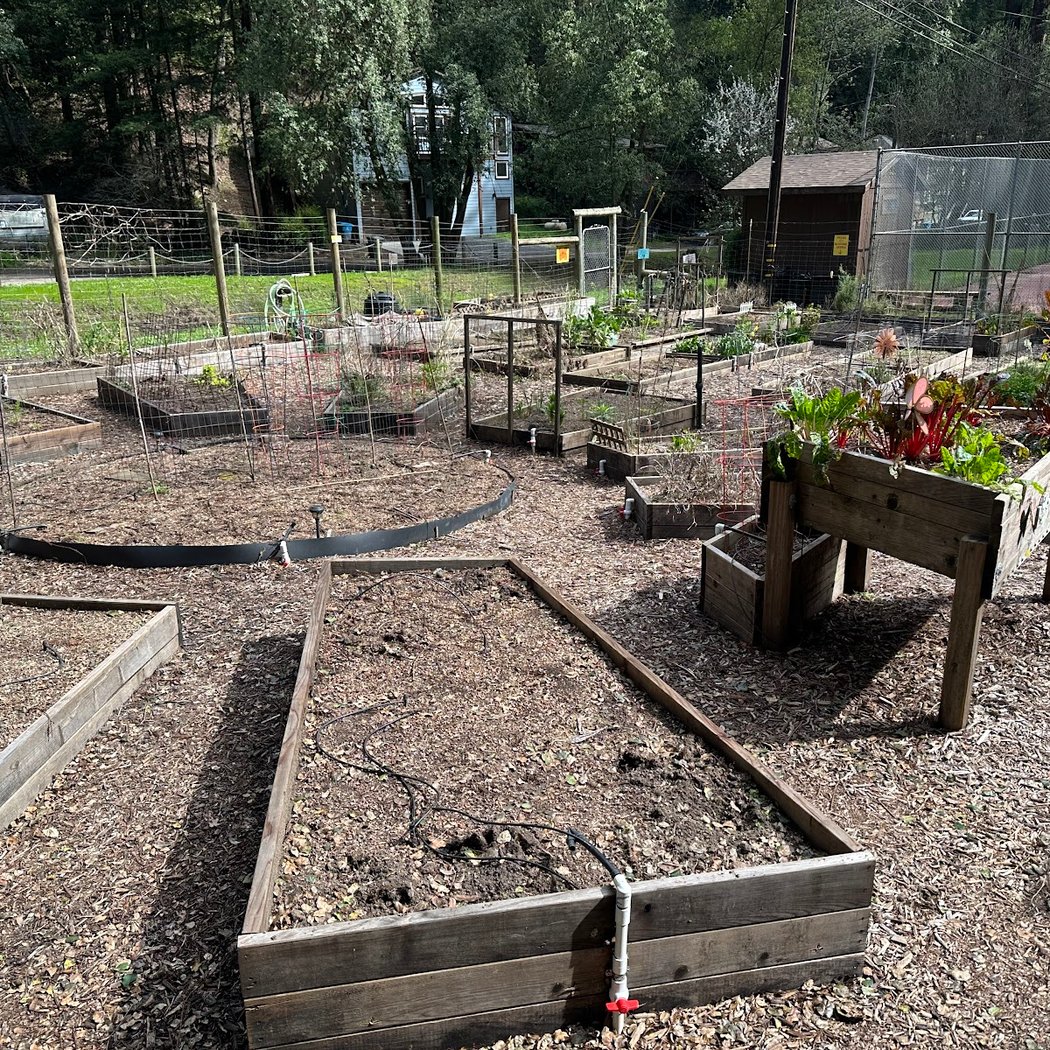 Sunrise Garden - Rio Nido Organic Community Center 2