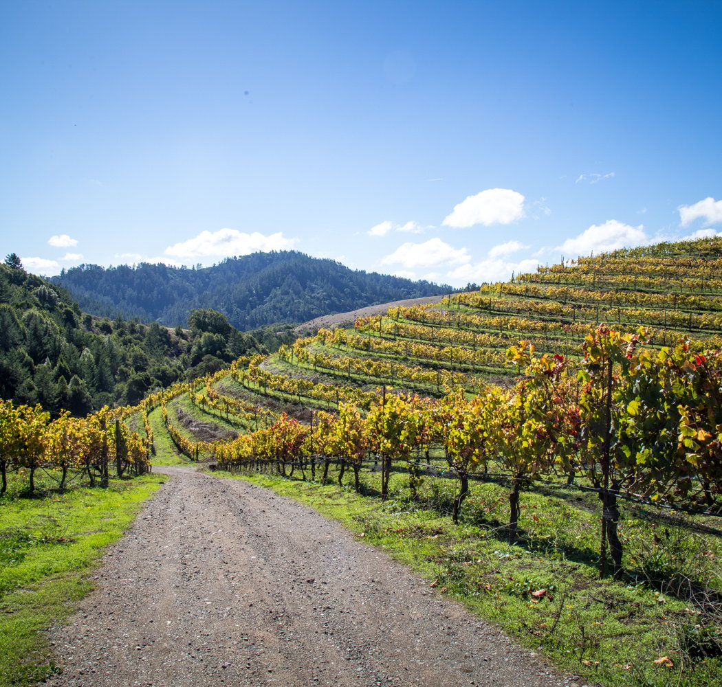 Devils Gulch Ranch 1