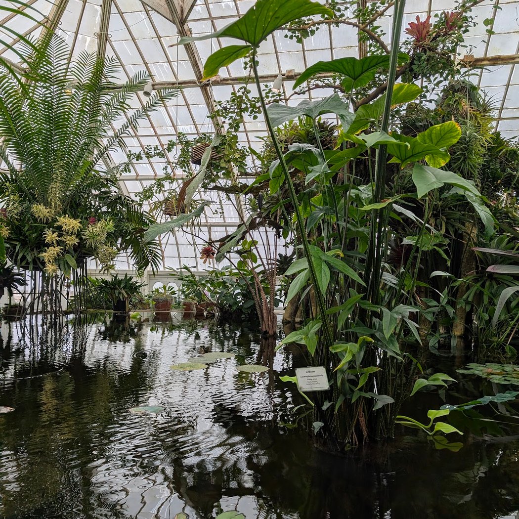Conservatory of Flowers Golden Gate Park 3