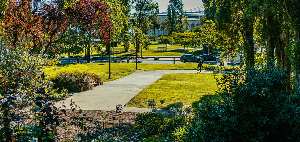 Ferry Park 1