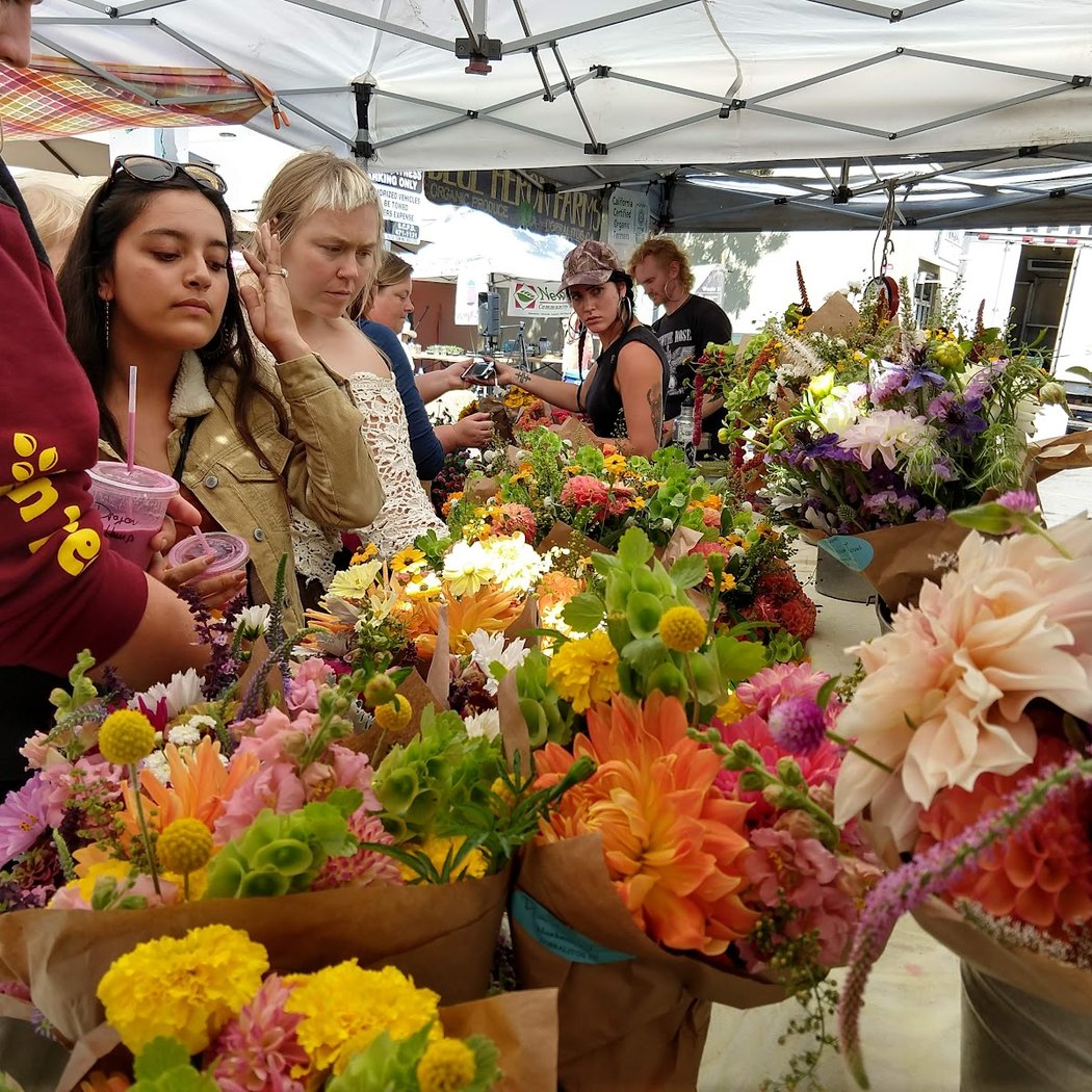 Santa Cruz Community Farmers' Market 1