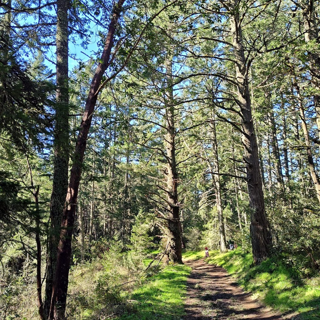 Purisima Creek North Ridge Trailhead 3