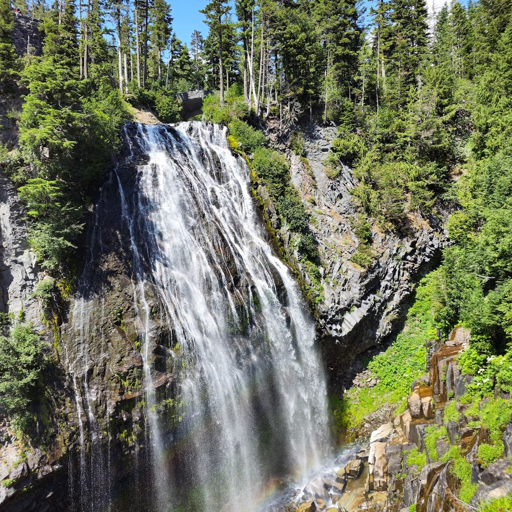 Mount Rainier National Park 3