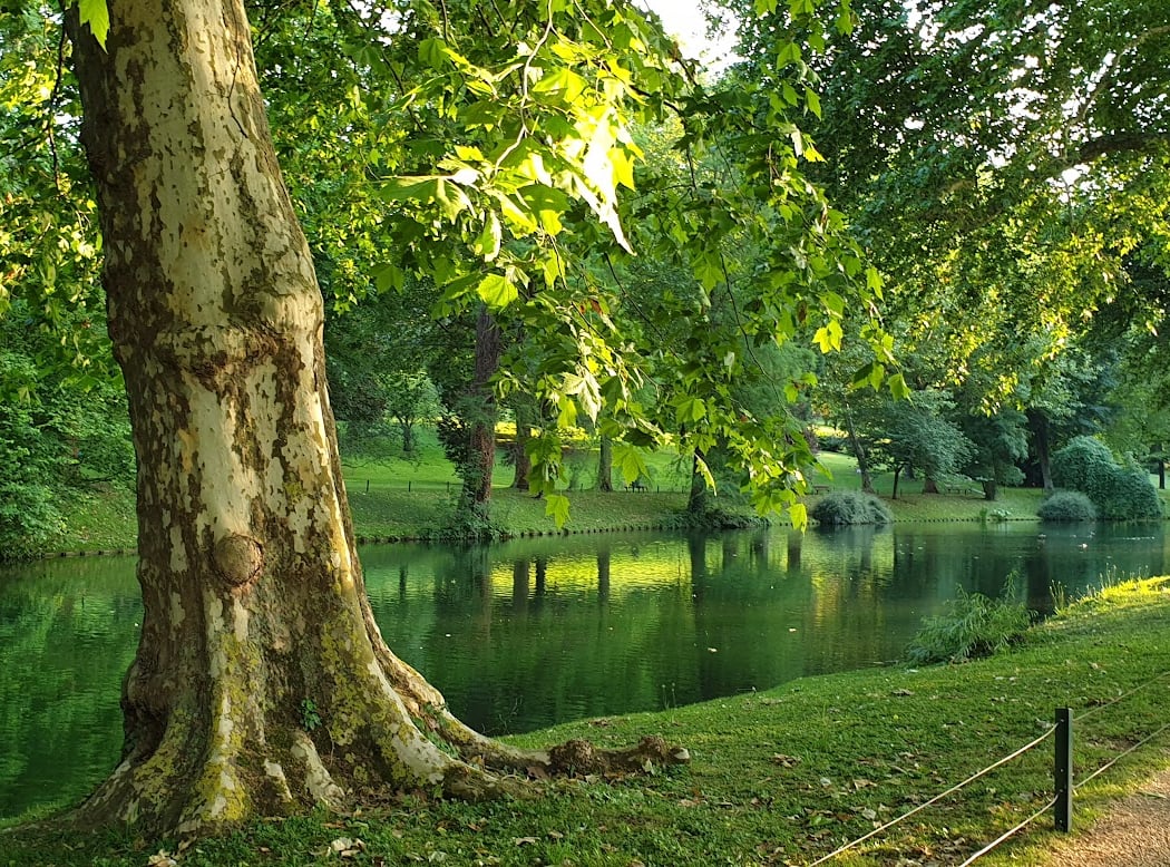 Parc Meissonier 1