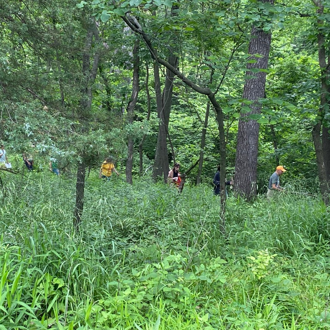 Hike with a Naturalist 2