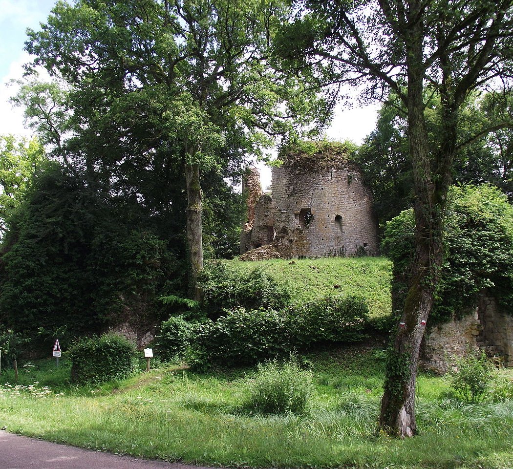 Ruines du Château de St-Verain 3