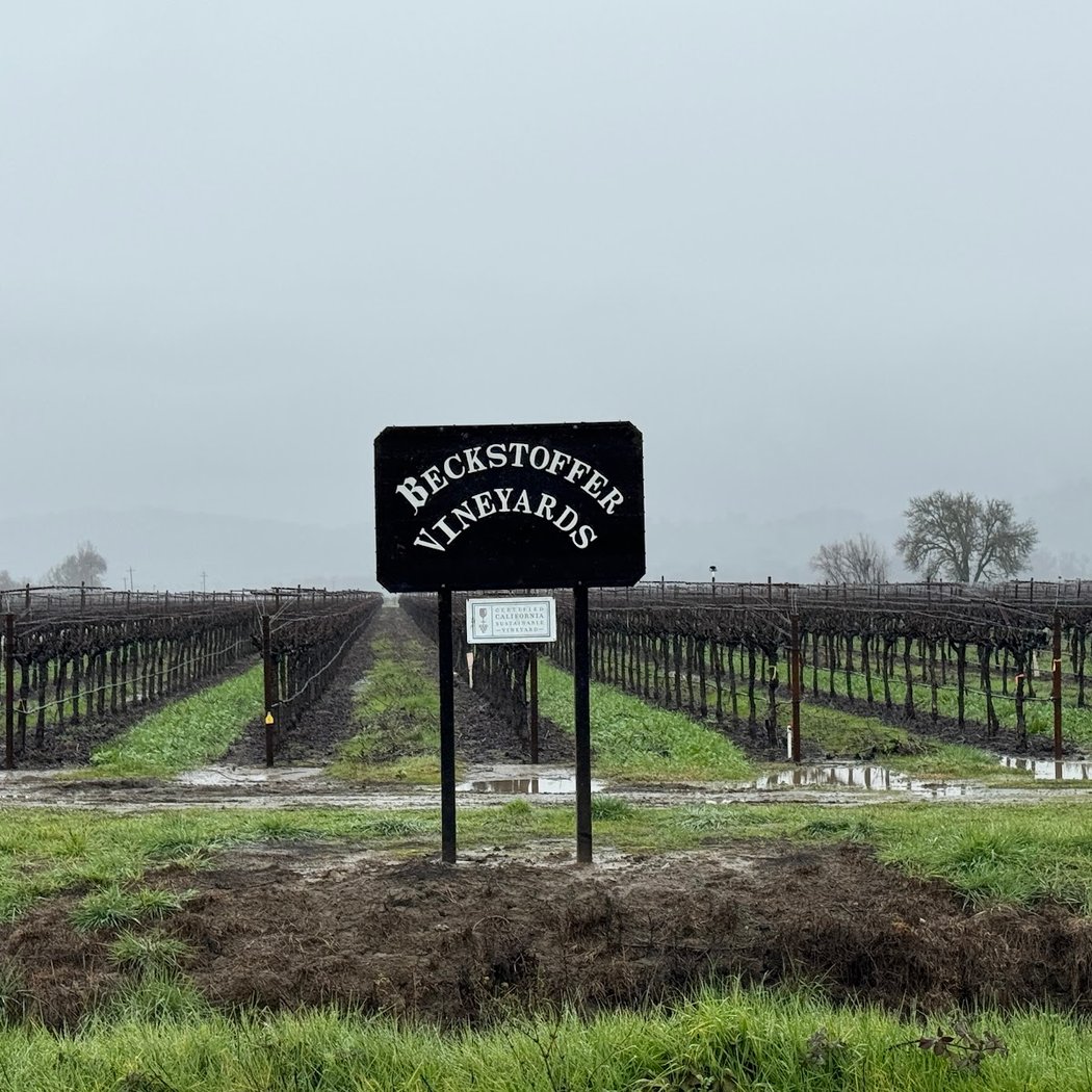 Words & Wine, Reflections of a Vintner 2