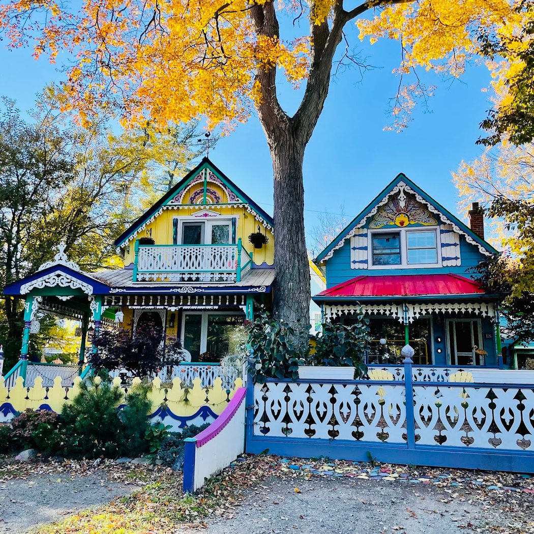 The Painted Ladies of Grimsby 2