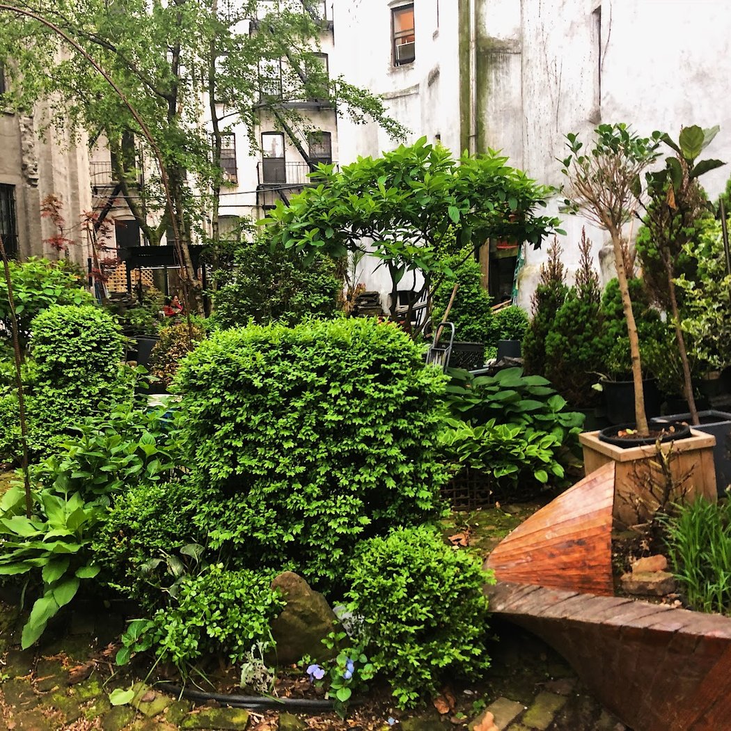 11 BC Serenity Garden 1