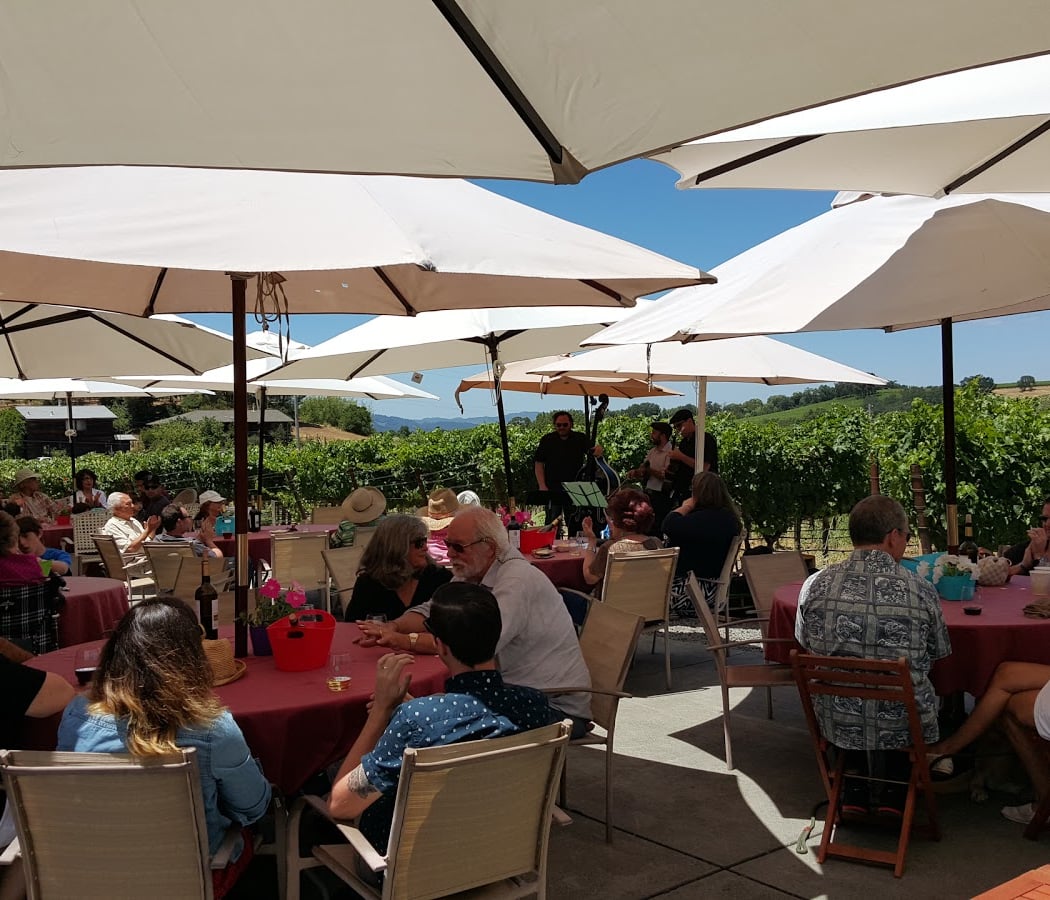 Viszlay Vineyards 1