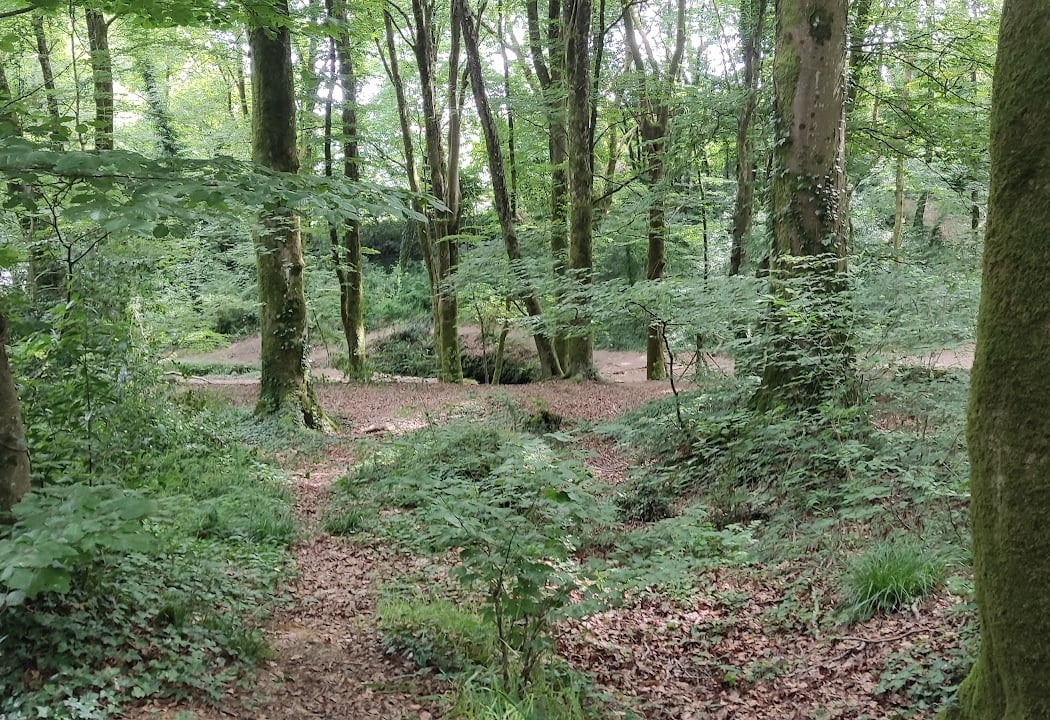 Fous La Montagne Woods 3
